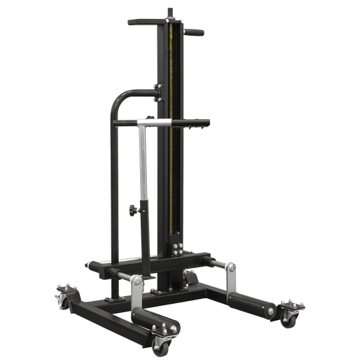 Professional wheel removal and lifting trolley