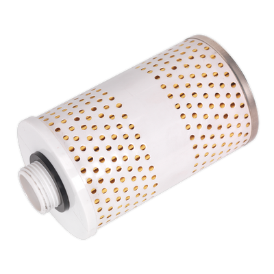 Replacement Filter Element for TPF01 Fuel Filter (TPF01.F)